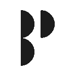 bredaphoto.nl icon