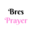 bresprayer.com icon