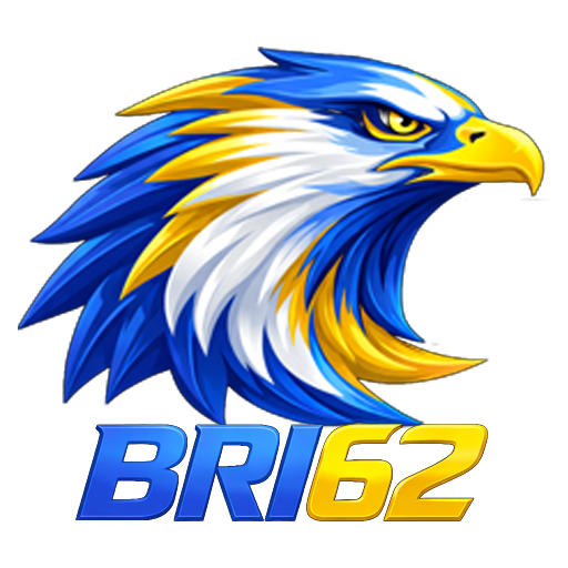 bri62.com icon