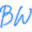 brianwillmedia.com icon