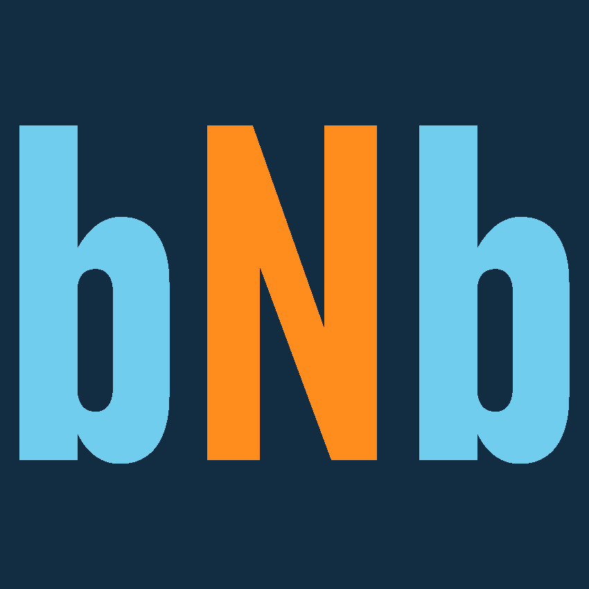 bricknbricks.com icon