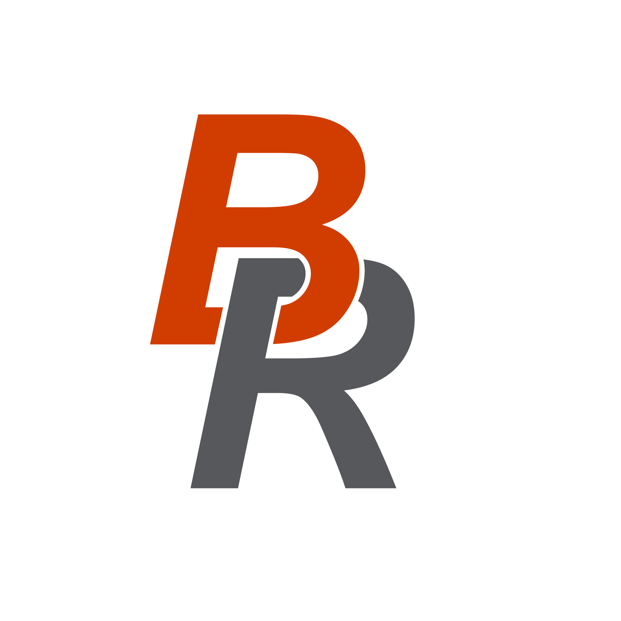 brico-reseau.com icon