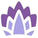 bridex.net logo