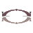 bridge2bwb.com icon