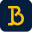 bridgebaseonline.com logo