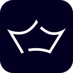 bridgechamp.com icon