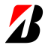 bridgestonetire.ca icon