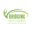 bridgingintelligence.com icon