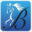 bridlewoodinsurance.com icon