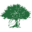 briggstree.com icon