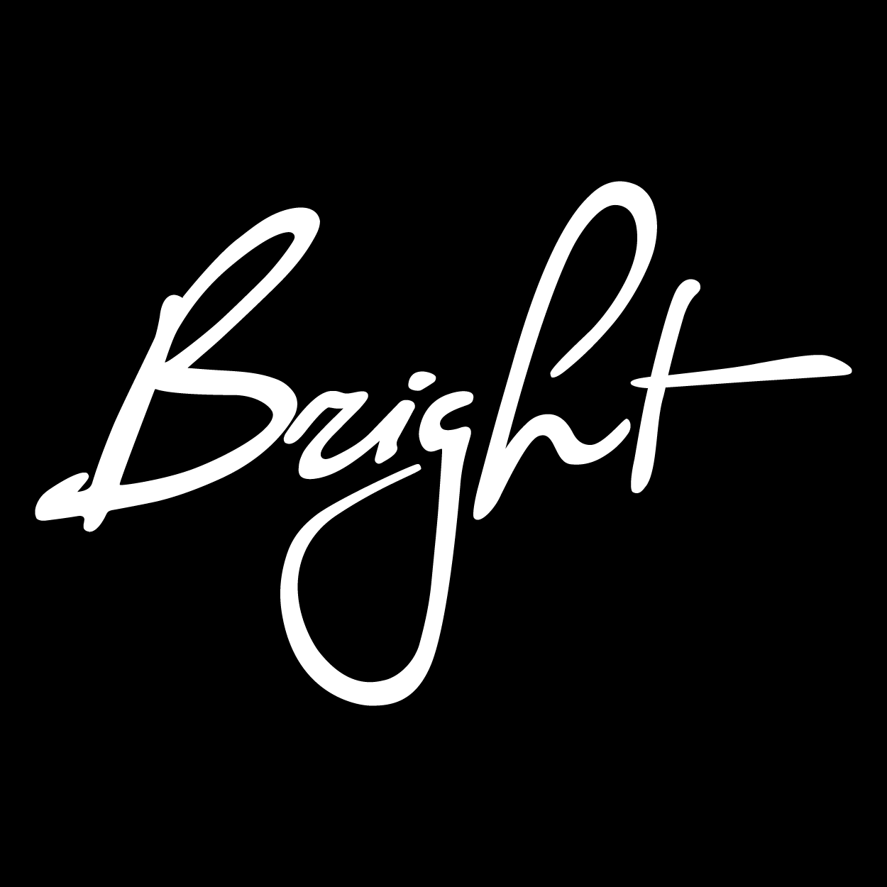 brightdigital.com icon