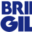 brillenmode-gillkoetter.de icon