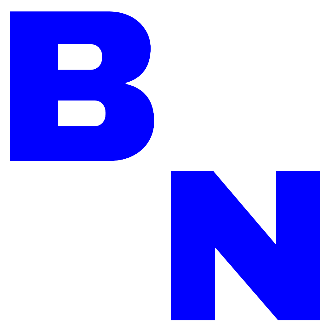 brilliantnoise.com icon
