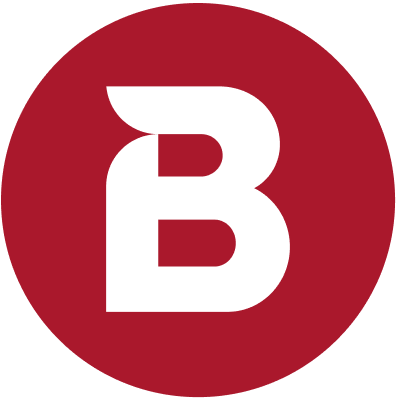 bringeri.com.ar icon