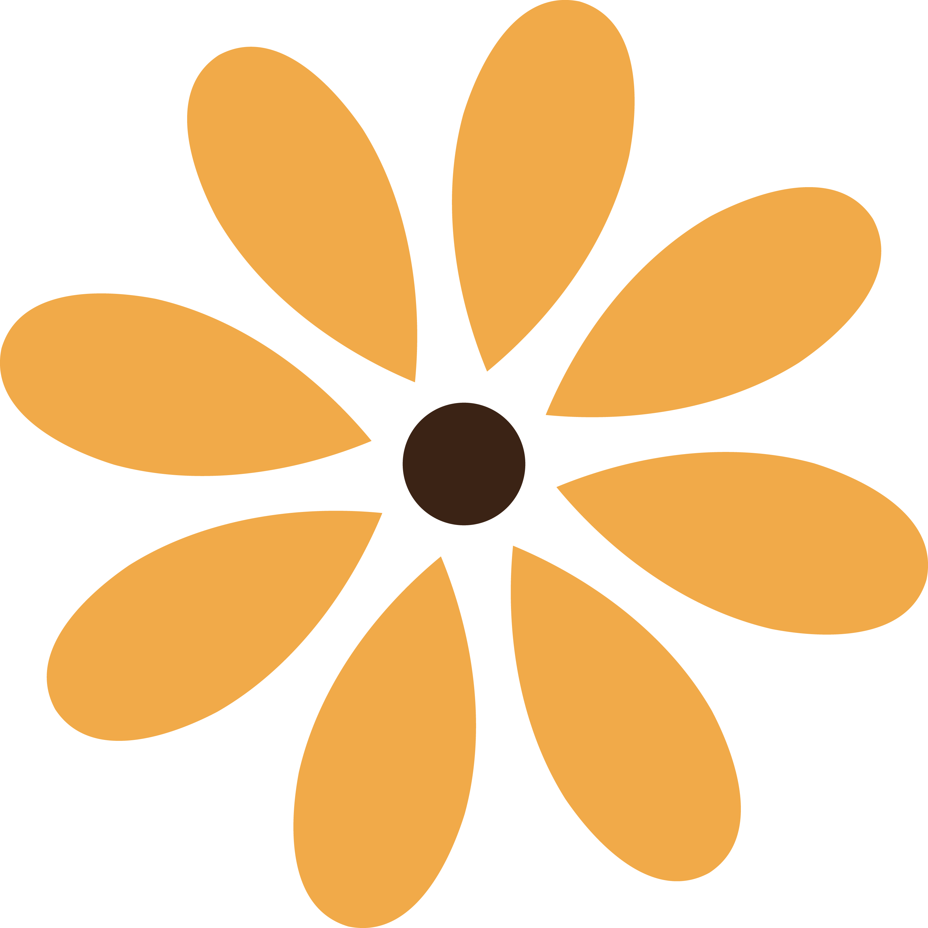 briowellness.com icon
