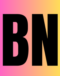 britnicolephotography.com icon