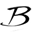 brive-tonneliers.com icon
