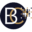 brodtmann-consulting.com icon