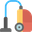 Dalton & Sons Carpet Cleaners logo