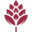browin.fr icon