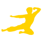 brucelee.com logo