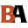 brunkauctions.com icon