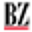 brv-zeitung.de icon