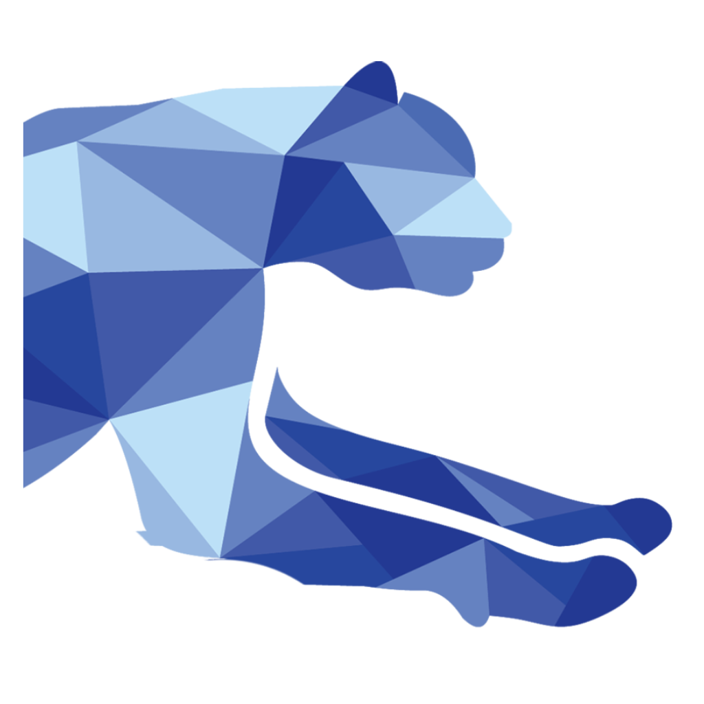 bryskit.com icon