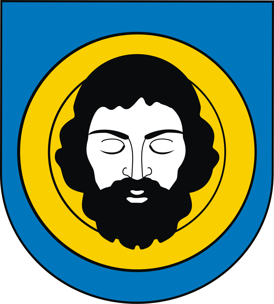 brzozow.pl icon