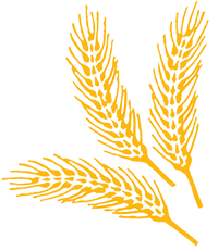 bsbks.com icon