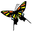 bsds.de icon