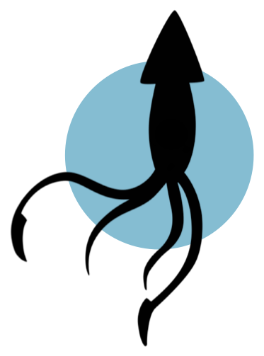 bsquid.com icon