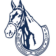 btsc.org.sg logo