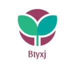 btyxj.com icon