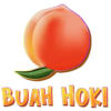 buahhoki-zq.com icon