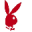 bucaescortgo.xyz icon