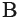 Buchmann Inc logo