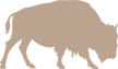 bucktaylor.com icon