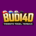 budi4dnaik.com icon
