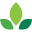 buenaparkneighbors.org icon
