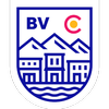 buenavistacolorado.org icon
