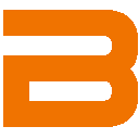 buerkle-leisten.de icon