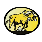 buffalobore.com logo