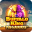 buffalokingmegaways.co.za icon