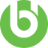 Buggies Unlimited logo