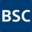 bulkamid.com icon