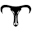 bullbike.com.hk icon
