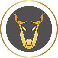Bull City Durham Beauty and Barber College official logo