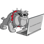 bulldogmarketinggroup.com icon