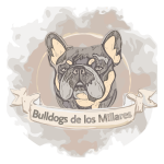 bulldogsdelosmillares.com icon